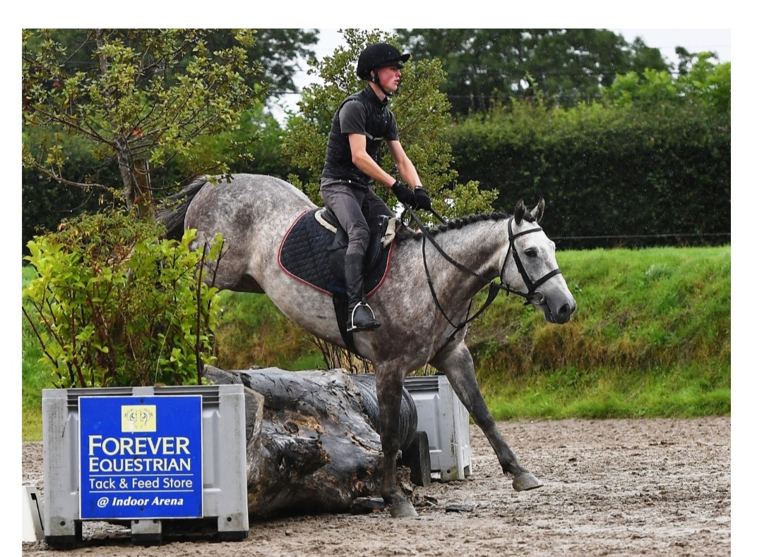 Select Auction of Irish Bred Hunters and Eventers