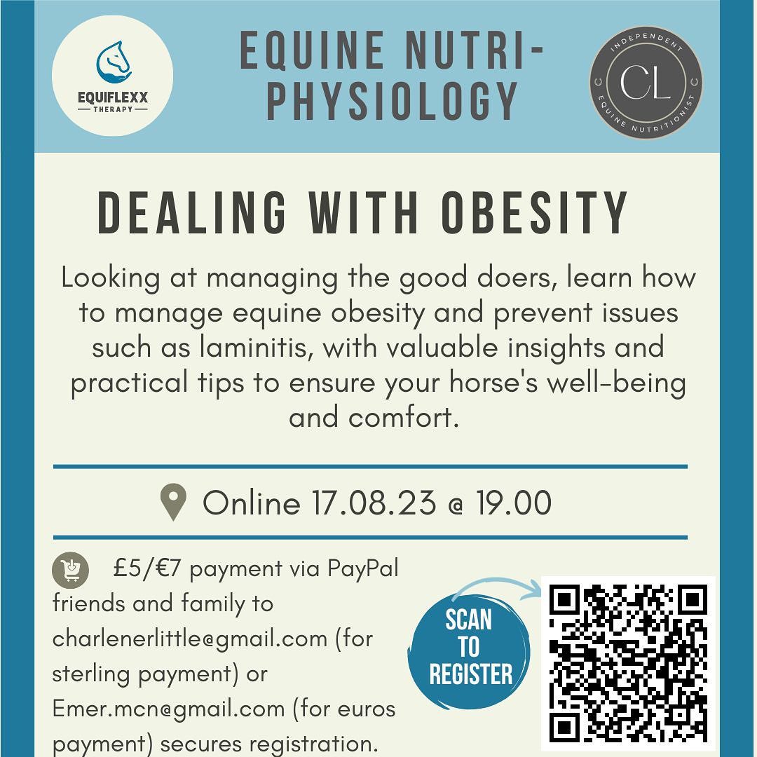 Equine Obesity and Management  | Equiflexx Theraphy & CL Independent Equine Nutritionist