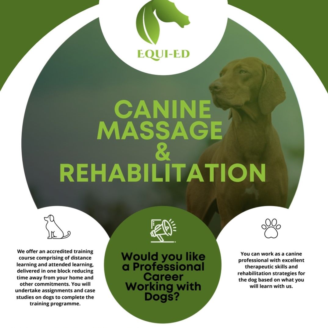 Equied – Canine Massage and Rehabilitation