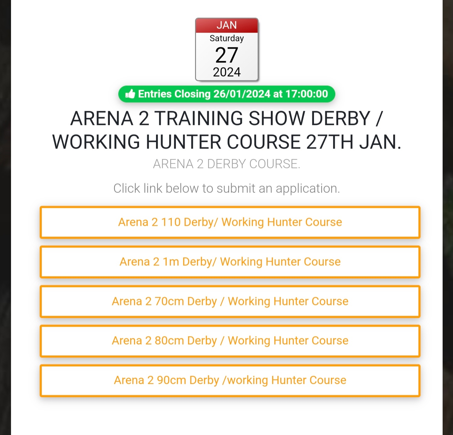 Derby and Working Hunter Show at Hollypark Stables
