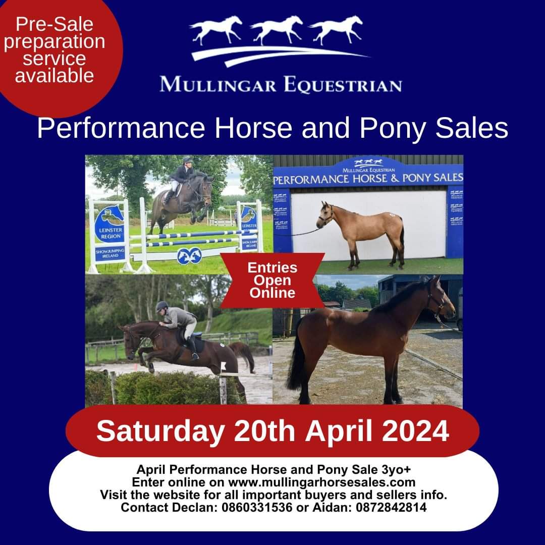 Performance Horse & Pony Sale